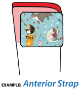 Diagram of transfer on white strap